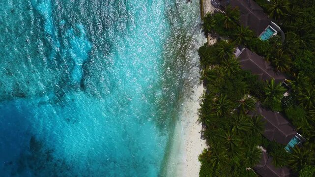 Aerial top down view of a Maldives island resort with white sand, palm canopy, thatched villas, plunge pools, and reef shadows, in bright daytime with gentle waves.