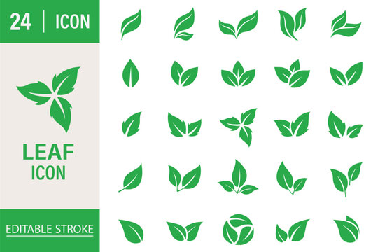 Leaf sprout icon vector set, green leaves plant eco logo symbol simple graphic illustration set, vegan fresh herb pictogram shape sign, organic natural healthy logotype eps 10