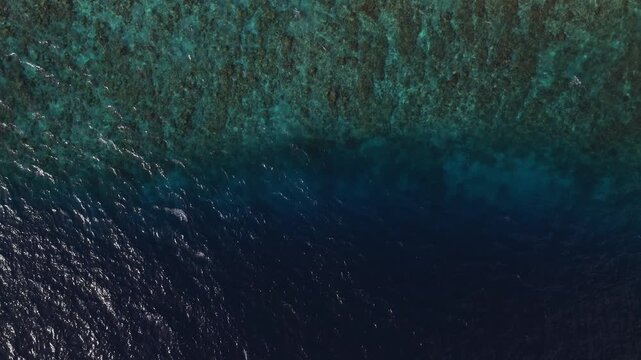Aerial top down view shows a Maldives coral reef edge meeting deep ocean, with turquoise lagoon, mottled reef, whitecaps, and sunlit ripples in bright daylight.