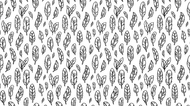 Hand drawn feather pattern on white seamless background