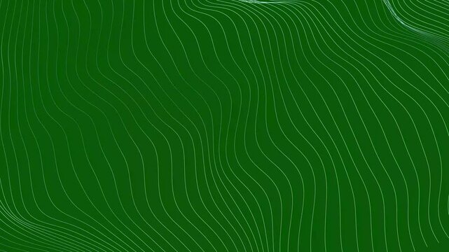 Abstract curved wavy flowing white lines network on green background, deep wave flow web pattern with curved motion and subtle light shifts, subtle lighting creating a sense of depth and motion. 4K