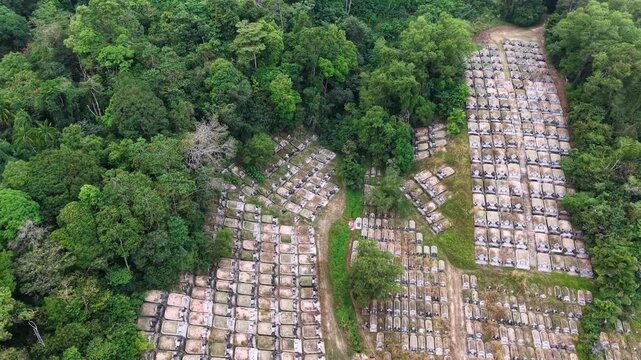 Aerial drone view of Teluk Bahang cemetery hillside