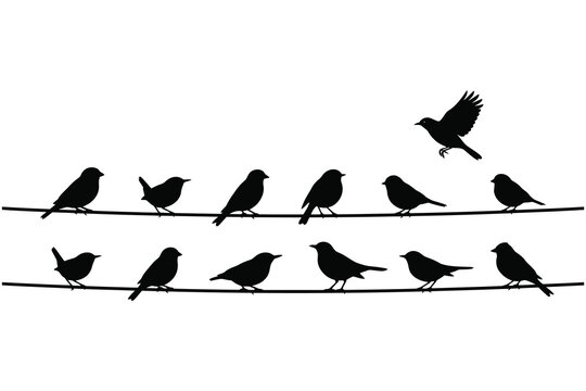 Silhouette birds perched on parallel wires with one flying freely