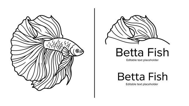 Line art illustration of a beautiful Betta fish with flowing fins.