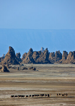 Rock Formations, Lake Abbe, Djibouti