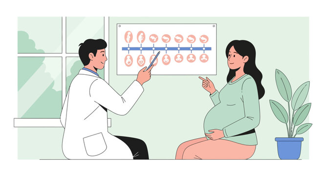 Doctor Consults Pregnant Woman About Fetal Development Chart