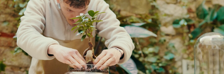 Young male gardener repotting a plant in a home workshop on plants in the background. Caring for a...