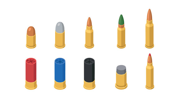 Assorted Bullet Cartridges Displayed.