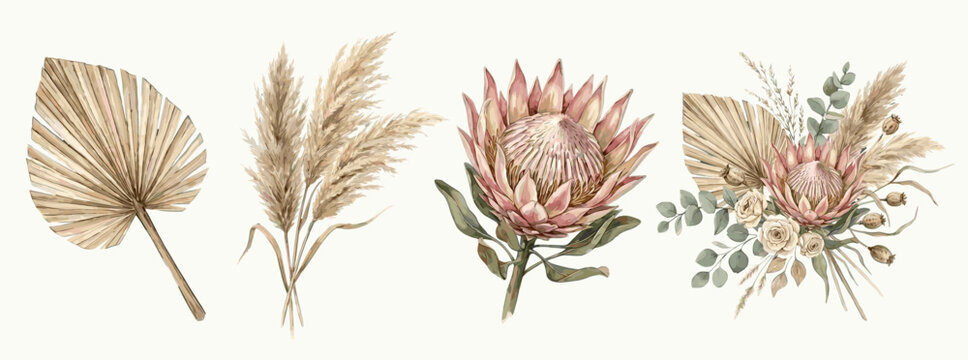 Protea flowers, pampas grass and dried palm leaves, boho watercolor botanical collection for wedding and interior decor