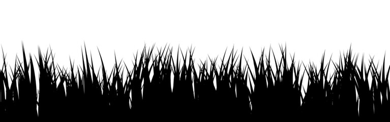 Obraz premium Meadow silhouette with grass, plants on plain. Panoramic summer lawn landscape with herbs, various weeds. Herbal border, frame element. Black horizontal banners. Vector illustration