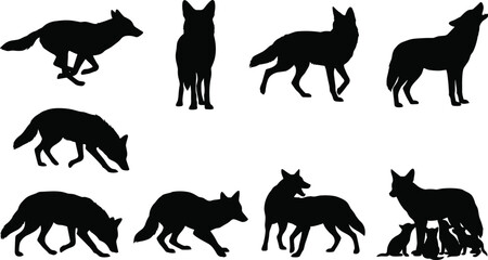 Fototapeta premium Vector silhouette collection of wild wolves and coyotes including mother with pups isolated on white