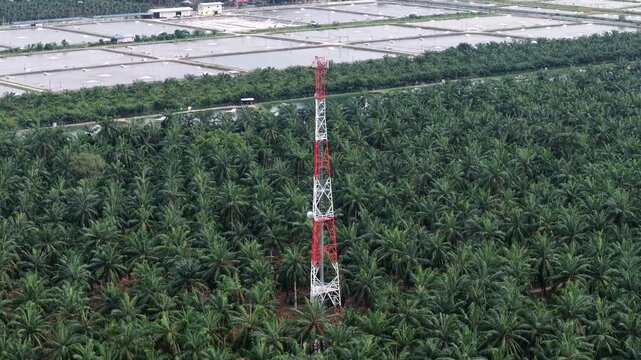 Aerial view of telecommunication tower standing in oil palm plantation near ponds.
