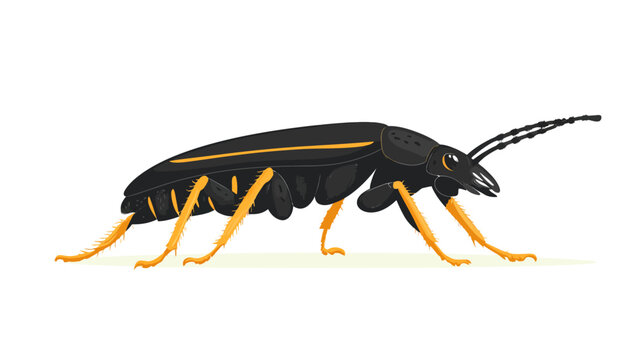 Cartoon black beetle with orange legs, yellow stripe, six limbs, antennae, shadow on white background