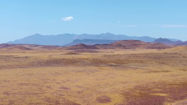 Drone view of golden desert plains with red grass patches and a line of hills in Damaraland. Sparse trees and dry grass stretch across the vast arid plains toward distant blue mesa mountains.