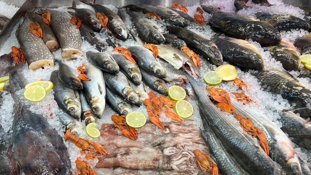 gek&uuml;hlter Fisch am Fischmarkt - 2