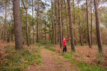Fototapeta premium Woman hiking in forest path touching tree