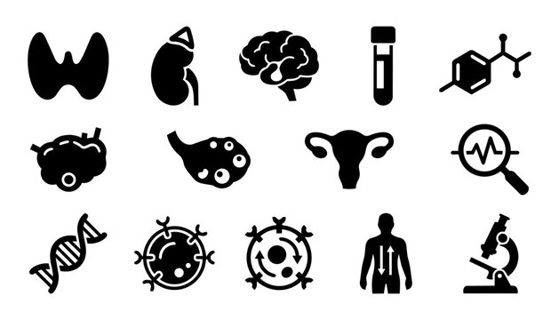 Hormonal Health Science and Endocrine System Silhouette Icon Set &ndash; Endocrinology, Hormones, Medical Education