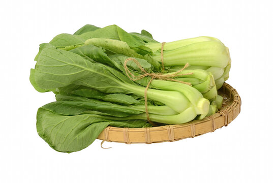 Fresh Bunches of Bok Choy Tied with Twine in a Woven Bamboo Basket