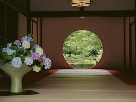 Beautiful blooming hydrangeas inside a traditional Japanese room with a round window looking out at a green garden in Kamakura, Kanagawa, Japan