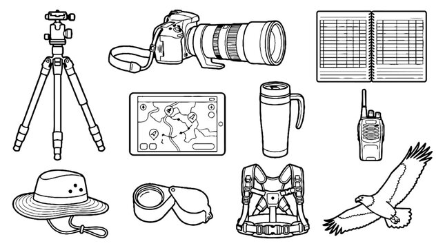 Wildlife photography equipment set with camera tripod binoculars and bird watching gear line art illustration.