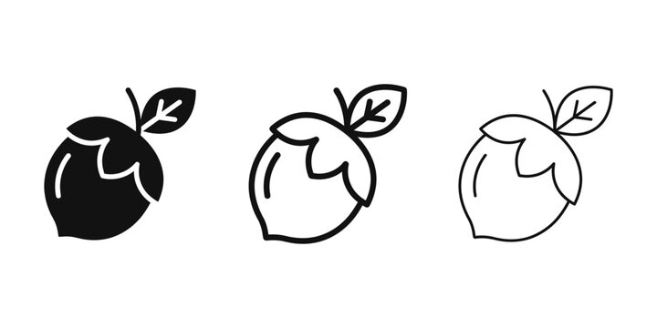 Hazelnut icon silhouette vector, bold outline and line art design