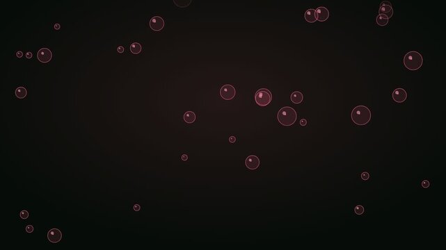 Rose Pink Water Bubbles Aquatic Effect Animation