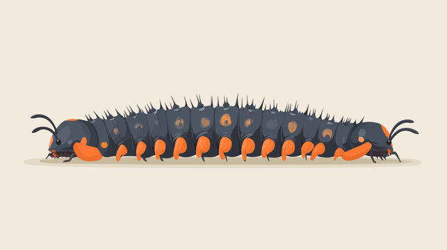 Gray elongated centipede with prominent black head, chitinous segments, orange legs with blunt claws and pointed spines on dorsal surface