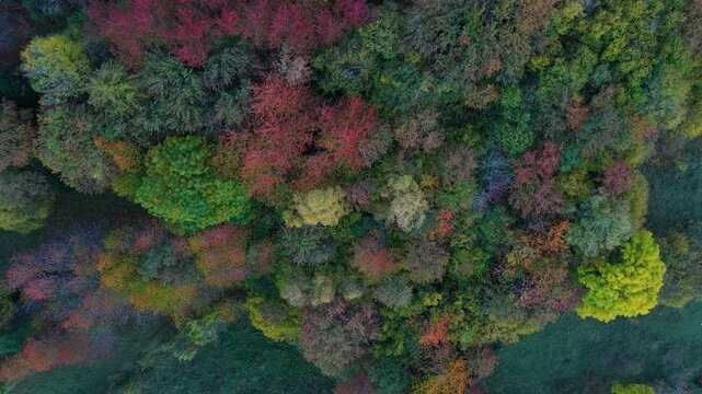 Aerial drone view of the autumn landscape of the mountains surrounding Hoz de Jaca in the Tena Valley, Alto Gallego region, Huesca, Aragon, Spain, Europe