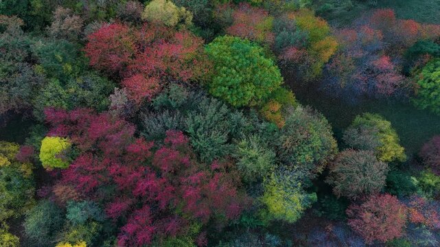 Aerial drone view of the autumn landscape of the mountains surrounding Hoz de Jaca in the Tena Valley, Alto Gallego region, Huesca, Aragon, Spain, Europe