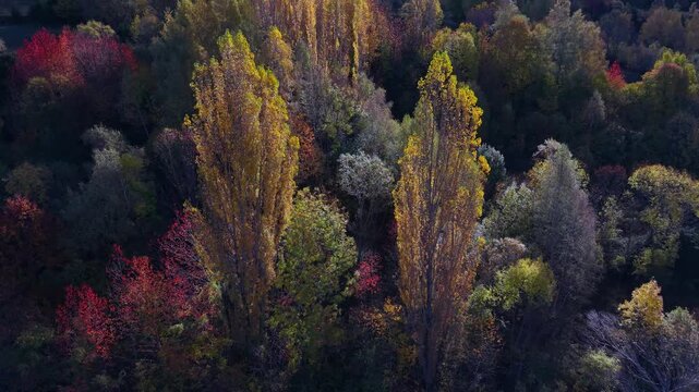 Aerial drone view of the autumn landscape of the mountains surrounding Hoz de Jaca in the Tena Valley, Alto Gallego region, Huesca, Aragon, Spain, Europe