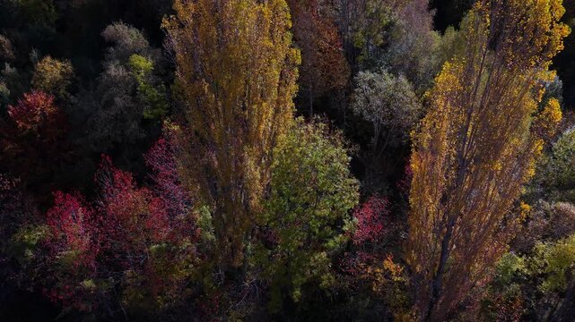 Aerial drone view of the autumn landscape of the mountains surrounding Hoz de Jaca in the Tena Valley, Alto Gallego region, Huesca, Aragon, Spain, Europe