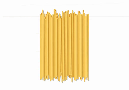 Vector illustration of uncooked bucatini pasta noodles arranged vertically in a bundle on a white wood grain background, tubular long Italian macaroni for culinary cooking.