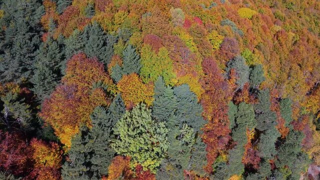 Aerial drone view of the autumn landscape in the Sierra Partacua at the foot of Pe&ntilde;a Telera in Piedrafita de Jaca in the Tena Valley, Alto Gallego region, Huesca, Aragon, Spain, Europe
