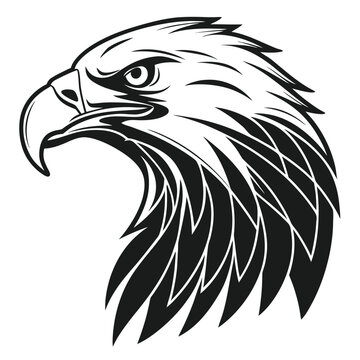 eagle head vector