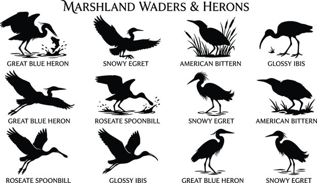 Marshland waders and herons wild birds silhouettes icons set isolated on a pure white background
