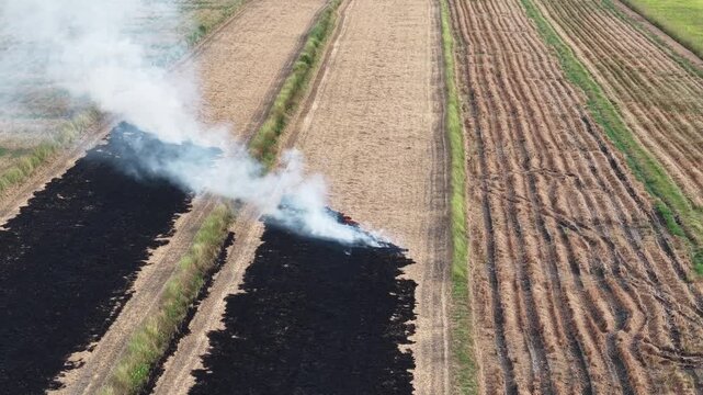 Aerial drone view of burning straw paddy fields emitting smoke