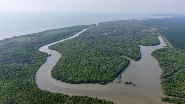 Aerial drone view of Kuala Gula mangrove forest river bends