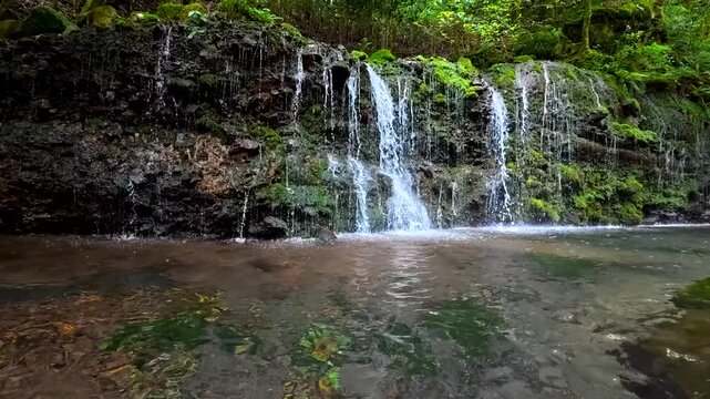 神奈川県箱根で撮影した千条の滝