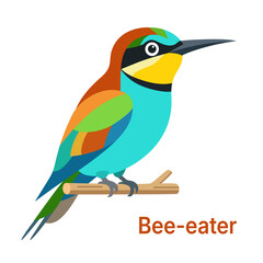 Fototapeta premium Isolated kids flashcard with a cute colorful bee-eater bird and text. Flat vector exotic tropical bird illustration for learning English vocabulary, kids apparel print and notebook design. EPS 10