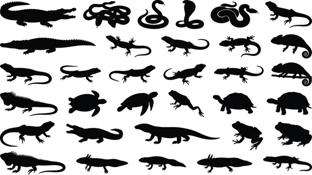 Black silhouettes of various reptiles and amphibians, including lizards, crocodiles, snakes, and turtles