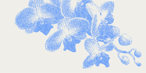 Blue cyanotype orchid floral background with stipple dot overlay texture. Vintage botanical halftone flower silhouette. Indigo vector banner for branding, packaging, wallpaper, stationery, spa © Olga Tsikarishvili