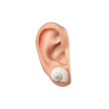Human Ear with Seashell as Earring