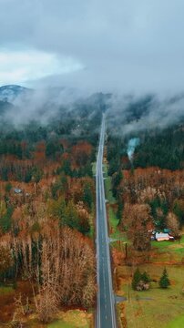 Straight highway crossing the territory of Mount Rainer national Park, Washington State, the USA. Thick fog spreading above the mountains, bare trees and green pine-trees. Top view. Vertical video
