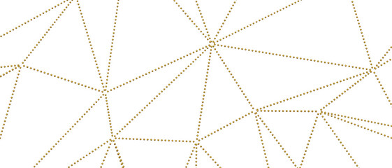 Minimalist abstract golden geometric lines and dots connect in network pattern © vegefox.com