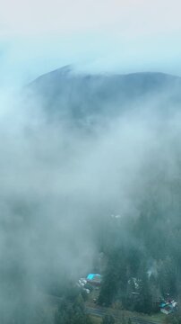 Drone flying through the thick fog above the natural landscape. Valley with pine tree woods opening to the view in Mount Rainer national Park, Washington State, the USA. Vertical video