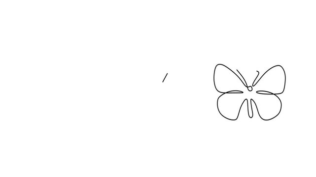 Animated self drawing of continuous line draw.  Butterflies Clouded Sulphur, Checkered White, and Spring Azure. Full length one line animation. 4K 