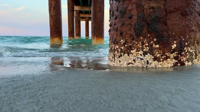 Close up barnacle covered pier pillar on sunny day at the beach