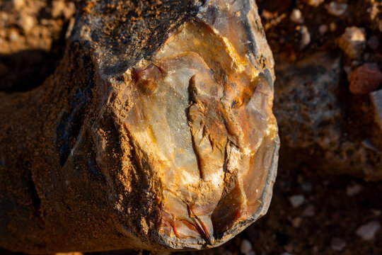Close-up of a raw flint nodule with a detailed conchoidal fracture pattern, showing glassy textures and earthy mineral layers found in a natural outdoor sedimentary deposit