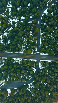 Roads crossing the pine-tree forest in the national park. Drone footage above the Mount Rainer national Park, Washington State, the USA. Vertical video