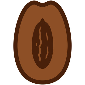 Brown date fuit cut in half.